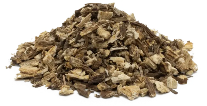 Andělika lékařská - kořen