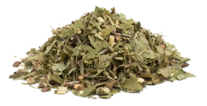 Borůvka černá - nať