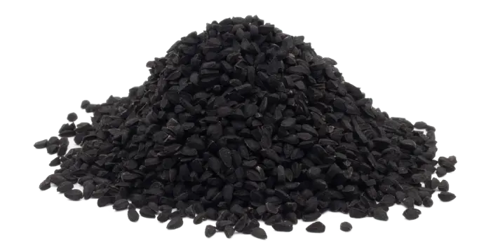 Černucha setá - semeno