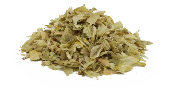 Chmel otáčivý - šištice