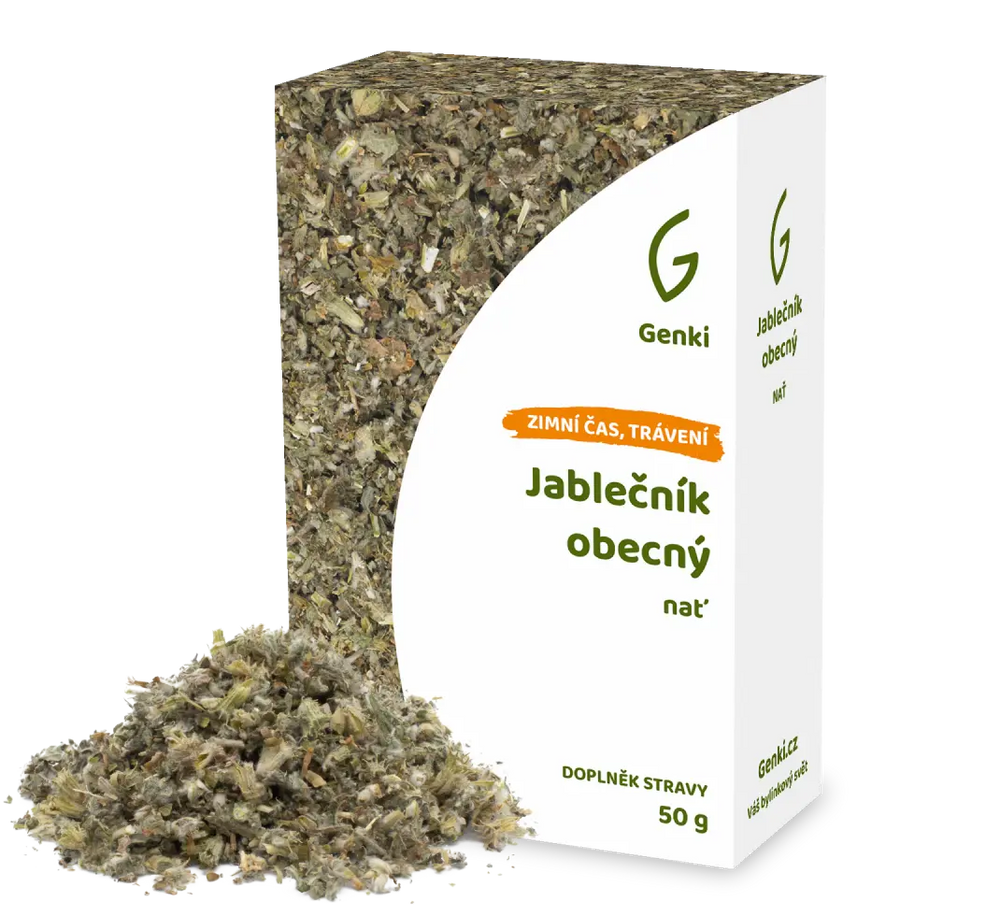 Jablečník obecný - nať