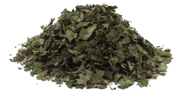 Jahodník obecný - list