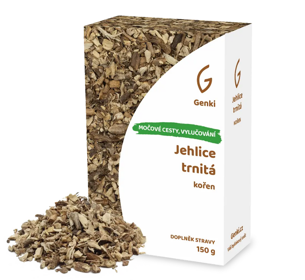 Jehlice trnitá - kořen