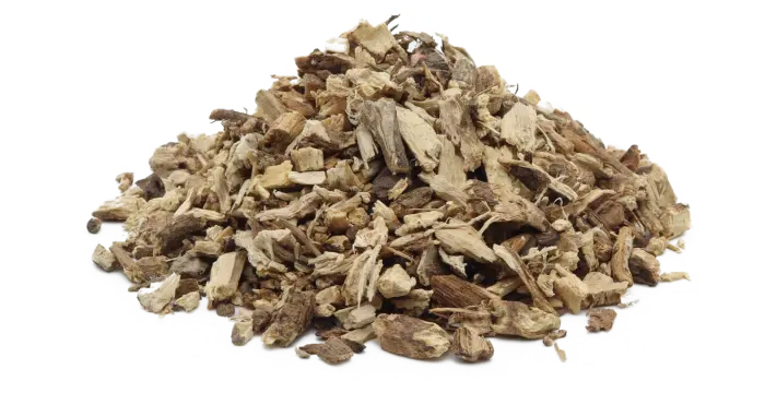 Jehlice trnitá - kořen