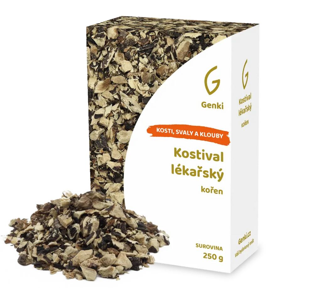Kostival lékařský - kořen