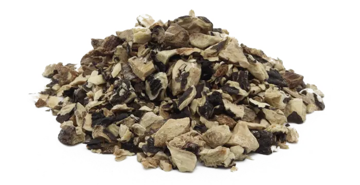 Kostival lékařský - kořen