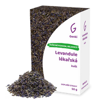 Levandule lékařská - květ