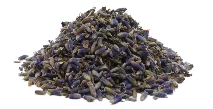 Levandule lékařská - květ