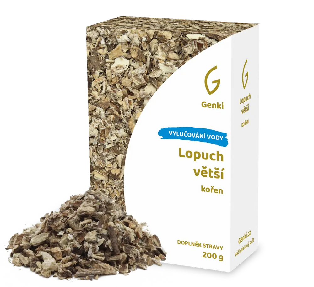 Lopuch větší - kořen
