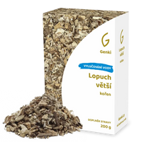 Lopuch větší - kořen