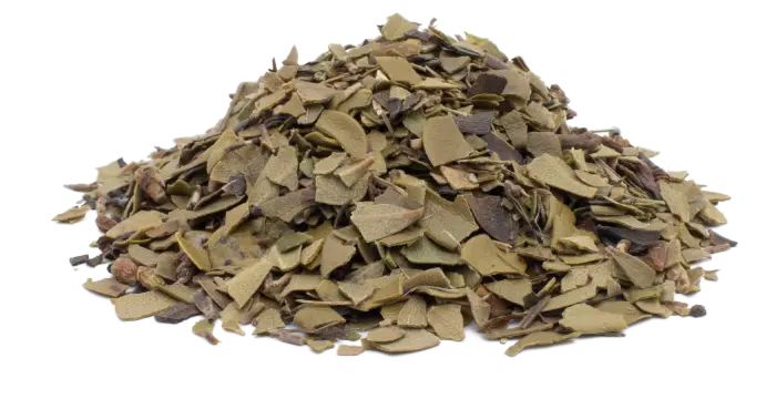 Medvědice lékářská - list