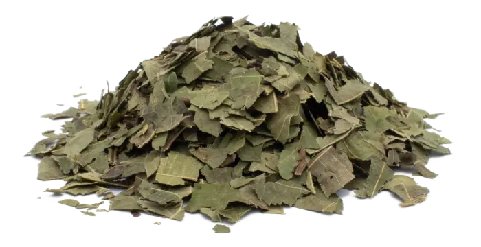 Ořešák královský - list