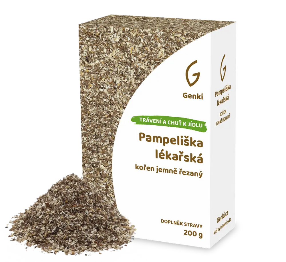 Pampeliška lékařská - kořen