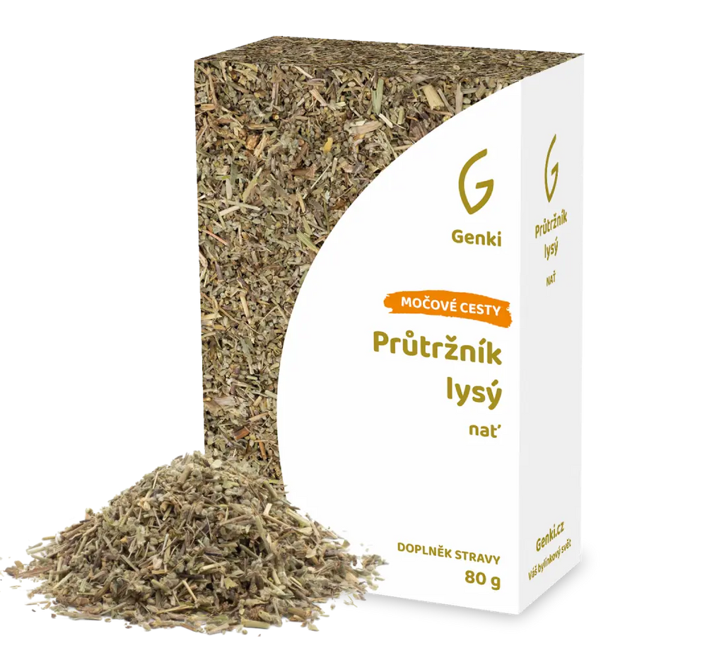 Průtržník lysý - nať