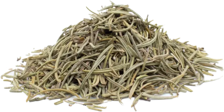 Rozmarýn lékařský - list