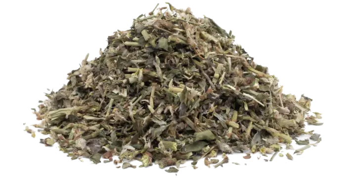 Truskavec ptačí - nať