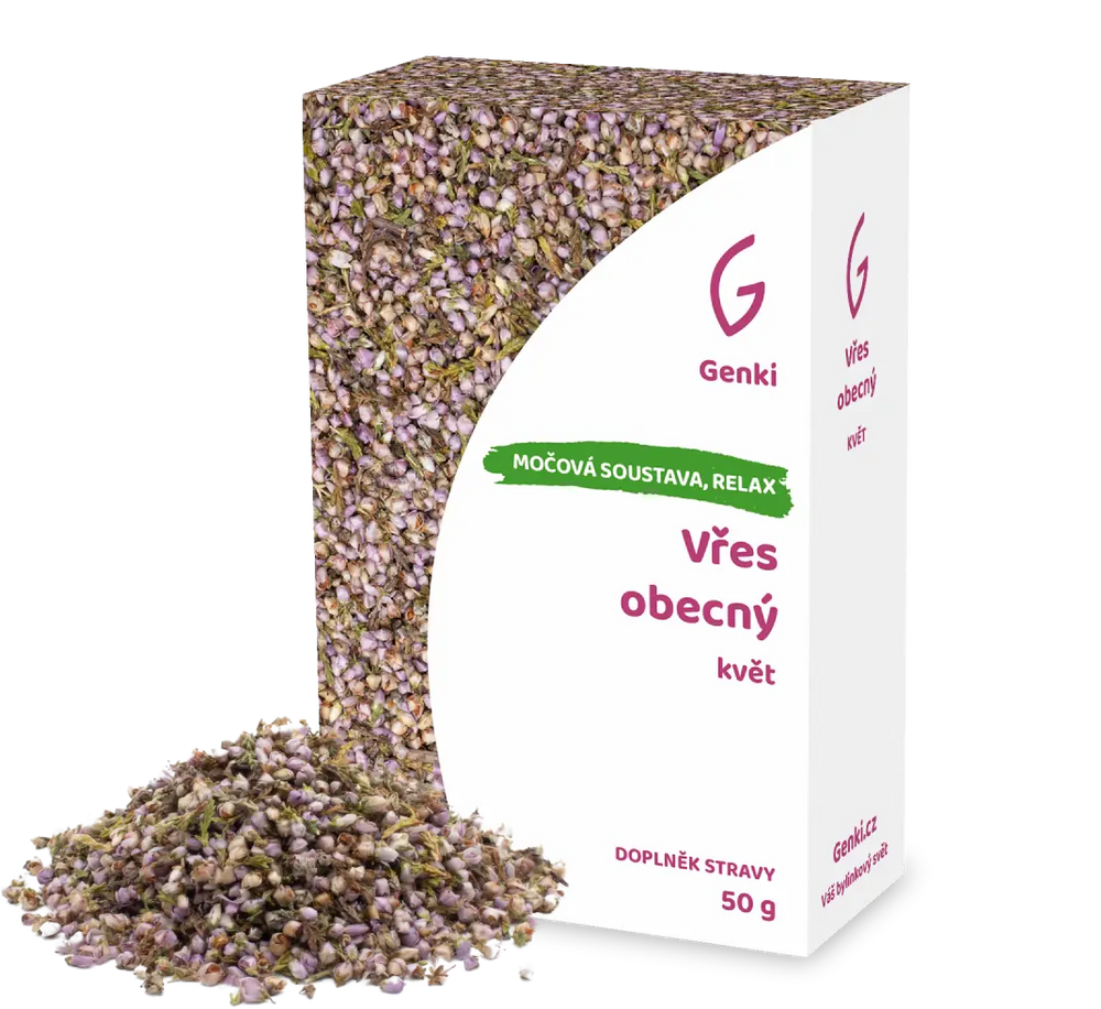 Vřes obecný - květ