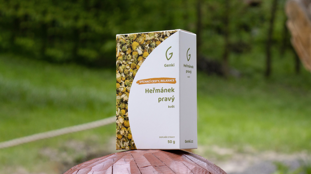 Heřmánek pravý - květ