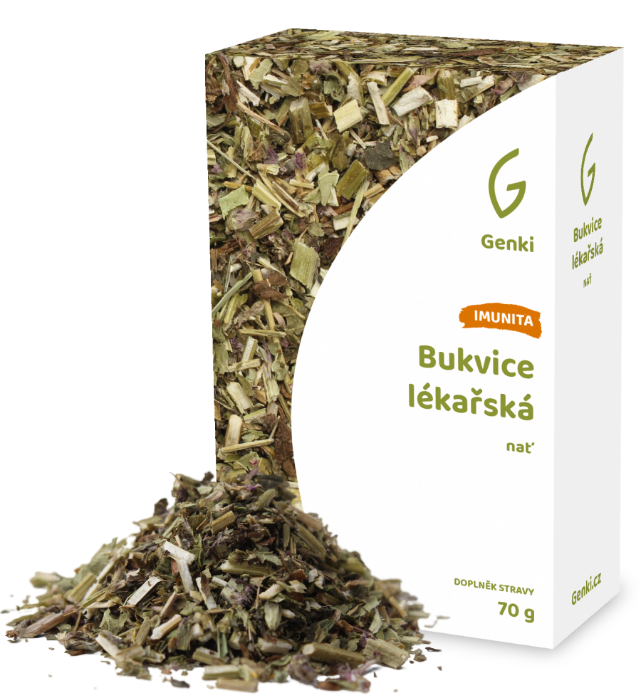 Bukvice lékařská - nať
