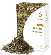 Bukvice lékařská - nať