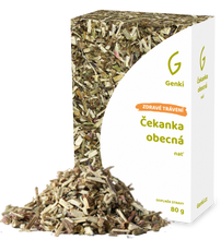 Čekanka obecná - nať