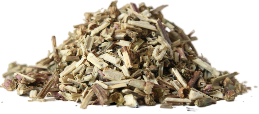 Čekanka obecná - nať