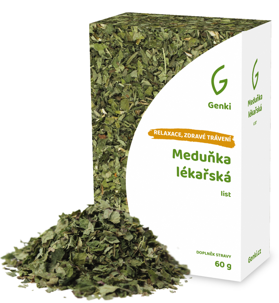 Meduňka lékařská - list