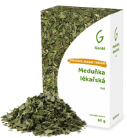 Meduňka lékařská - list