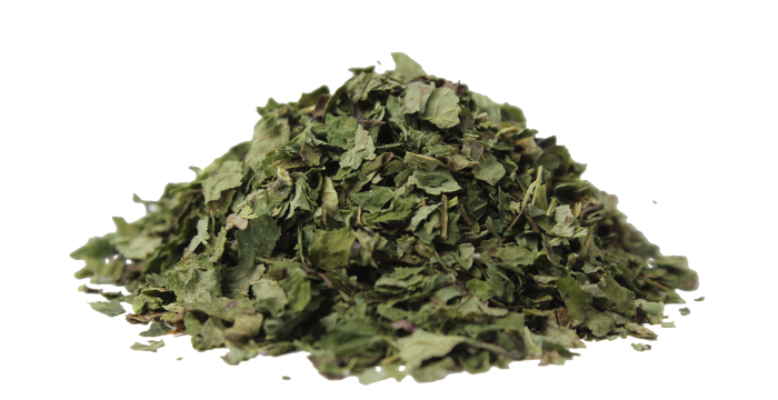 Meduňka lékařská - list