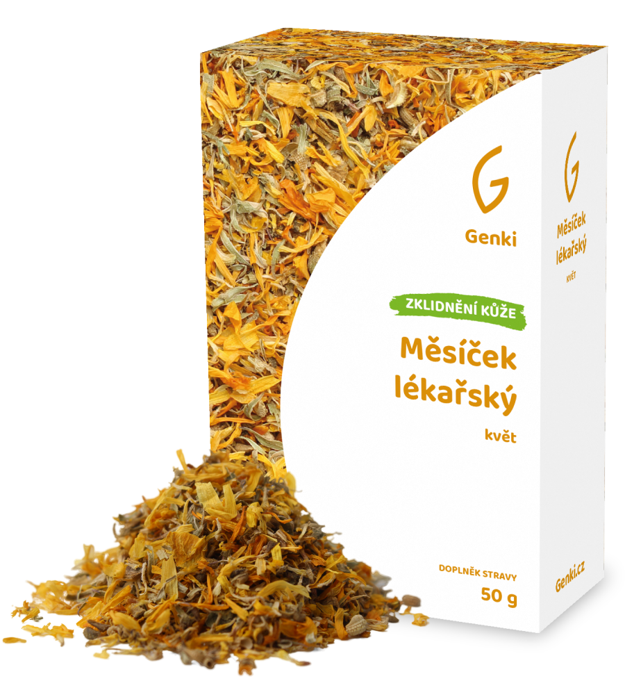 Měsíček lékařský - květ