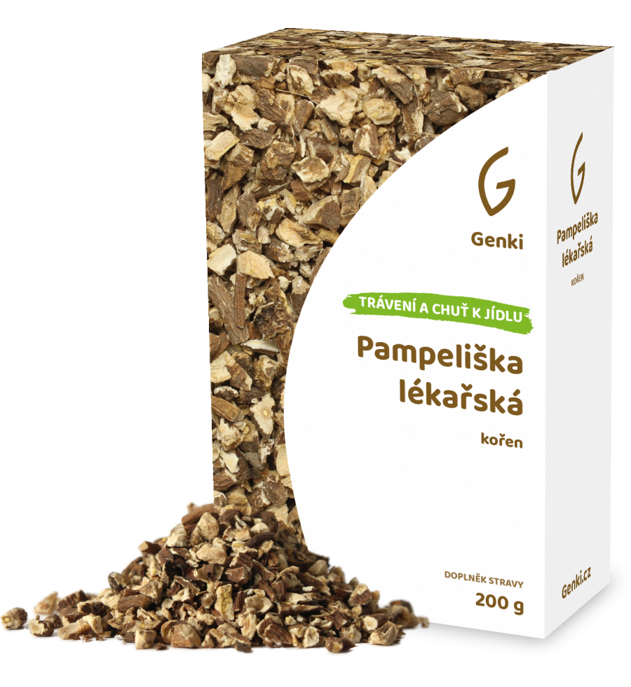 Pampeliška lékařská - kořen