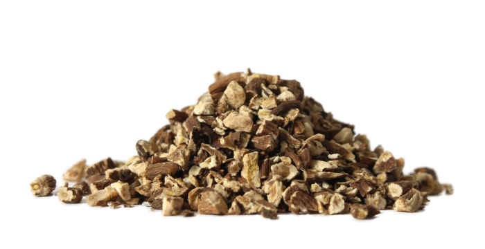 Pampeliška lékařská - kořen