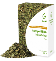 Pampeliška lékařská - list