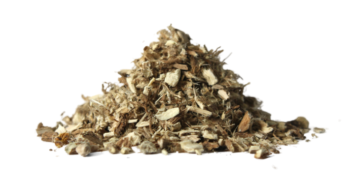 Proskurník lékařský - kořen