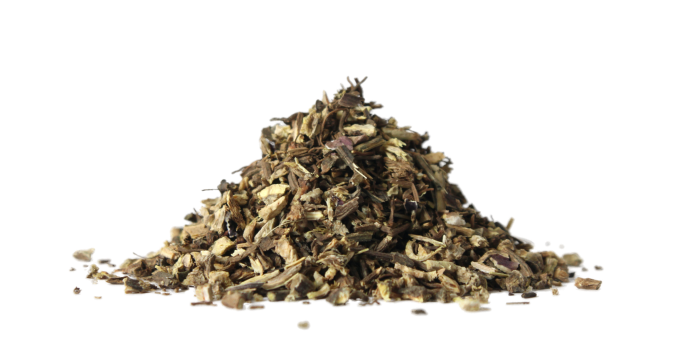 Třapatka nachová (Echinacea) - kořen